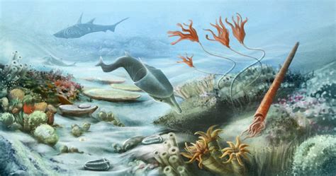 Silurian Period Facts Climate Animals And Plants Live