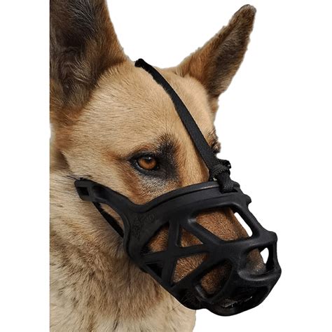 Best Dog Muzzle To Keep Your Pup Under Control Top 7 Picks