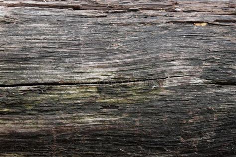 Old Rotten Wood As A Backdrop Wood Texture Stock Image Image Of