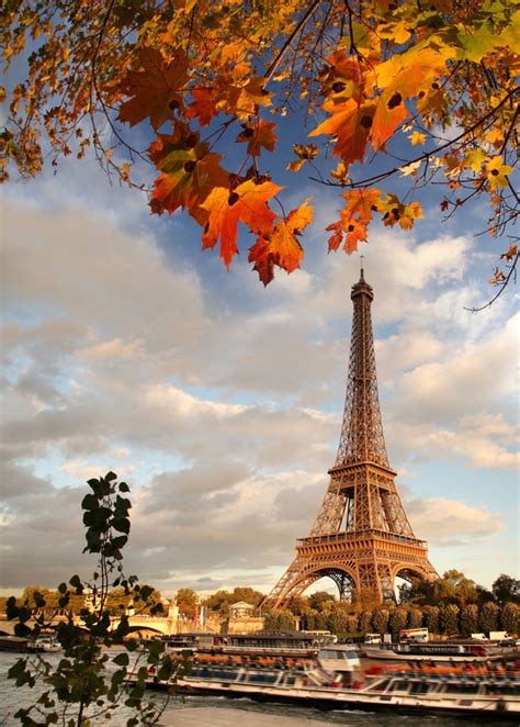 Eiffel Tower With Autumn Leaves In Paris Stock Photo 03 Free Download