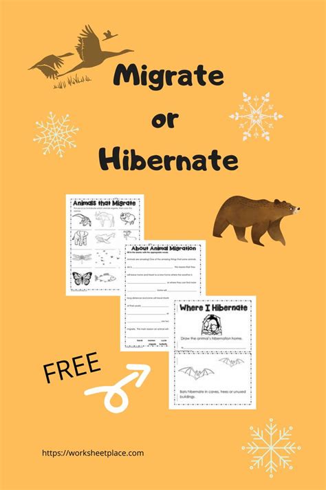 Hibernation And Migration Worksheet