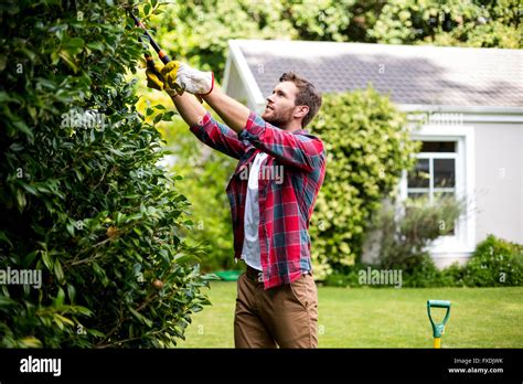 Man Trimming Plants At Yard Stock Photo Alamy