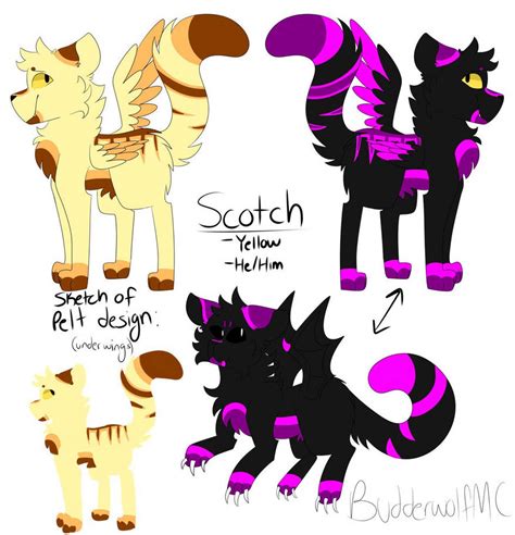 Scotch Prismur Cat Reference Sheet By Budderwolfmc On Deviantart