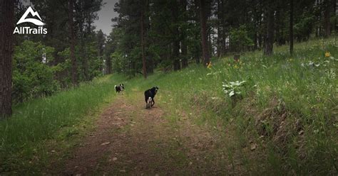Best Trails Near Sundance Wyoming Alltrails