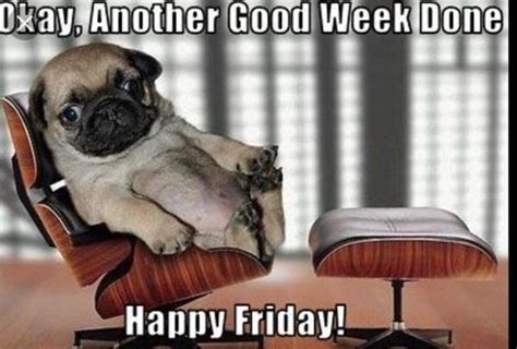 It S Finally Friday Celebrate With These Hilarious Memes Film Daily