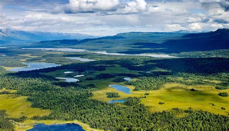 Story Ecosystem Corridors Connect Alaskas Boreal Forest Adapt Alaska