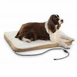 Photos of Orthopedic Beds For Dogs Uk