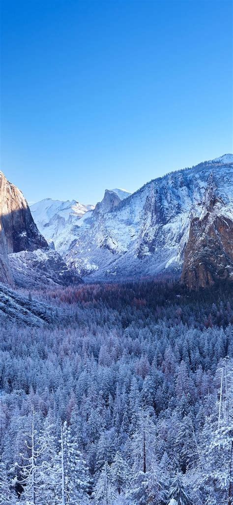 Yosemite Winter Morning 4k Iphone X Wallpapers Free Download