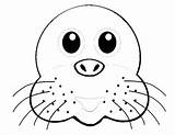 Seal Coloring Animals Printable sketch template
