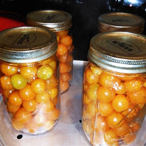 How To Can Cherry Tomatoes Easy Peasy Canning Cherry Tomatoes