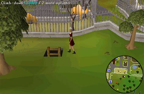 Tower Of Life Osrs Quest Requires Rings Of Recoils And Food But