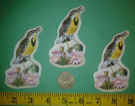 Montana State Bird And Flower Iron Ons Fabric Appliques