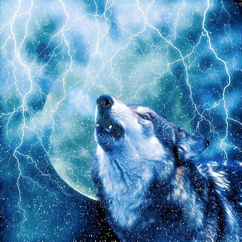 Wolf Of Lightning