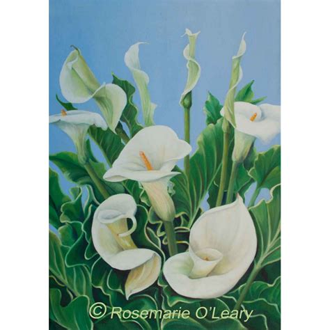 Calla Lilies Painting Signed Prints Rosemarie O Leary Artist