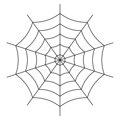 Web Cobweb Vector Nature Spider Png Picpng