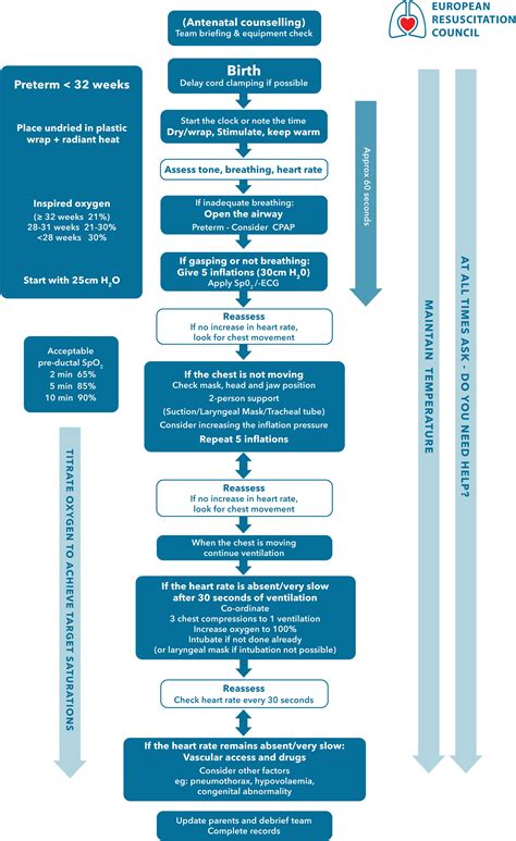 European Resuscitation Council Guidelines 2021 Executive Summary