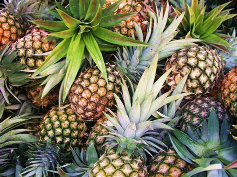 Medicinal Benefits Of Pineapple Fruit Theayurveda
