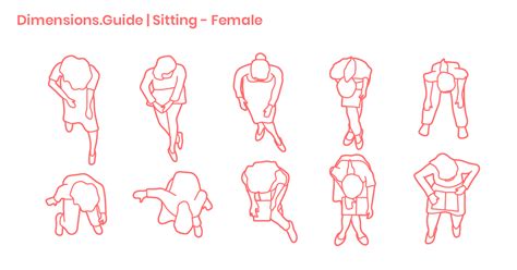 Sitting Female Plan Dimensions And Drawings Dimensionsguide