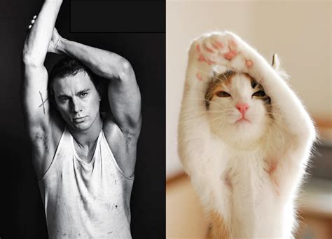 Hilarious Photos Of Sexy Men And Adorable Cats In Similar Poses