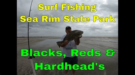 Surf Fishing With Bait Launcher Sea Rim State Park Youtube