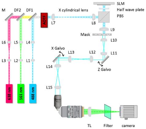 Schematic Diagram Of The Experimental Lattice Light Sheet Microscope