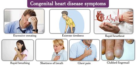 Congenital Heart Disease Symptoms Heartcare Heart Disease Symptoms Extreme Tiredness Rapid