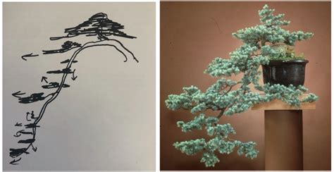 Deodara), and the lebanon cedar (c. Historical Tree Spotlight — Bonsai Blog — National Bonsai ...
