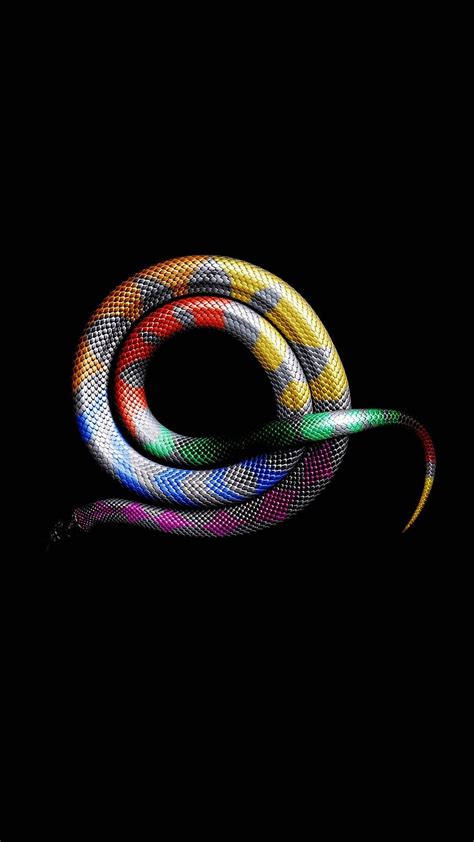 Snake Scaled Reptile Graphics Reptile Iphone Rainbow Snakes Hd