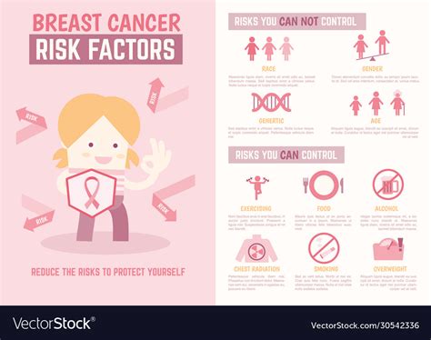 Breast Cancer Risk Factors Infographics Royalty Free Vector