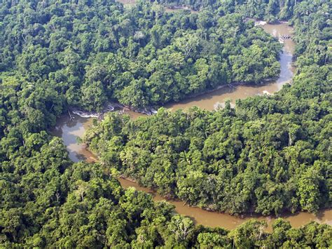 Eliasch's response to the issue of global warming and the devastation of habitats is. Climate change could wipe out half of all plant and animal ...