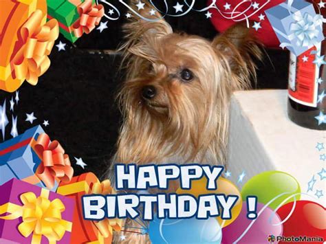 Happy Birthday Yorkie Happy Birthday Love Puppy Love Birthday