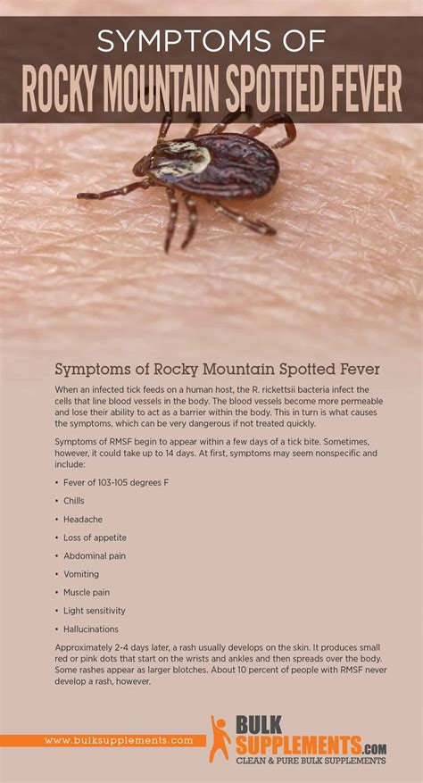 Rocky Mountain Spotted Fever Causes Symptoms And Treatment