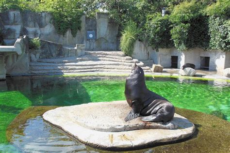 Artis Royal Zoo A Kid Friendly Must Visit Attraction In Amsterdam