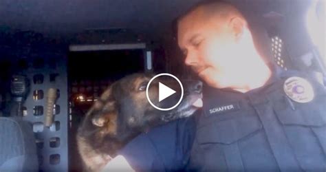 Officer Radios In K 9s Retirement Call And They Share Emotional