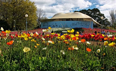 When Is The Best Time To Visit Canberra Australia Your Way