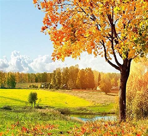 Top More Than 55 Greenery Background Wallpaper Latest Incdgdbentre