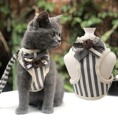Shop for cat collars online at cool cat gear to find a wide selection of cute cat collars, including personalized cat collars, leather collars, and more. Who has the coolest cat in town ??? With this trendy Cat ...