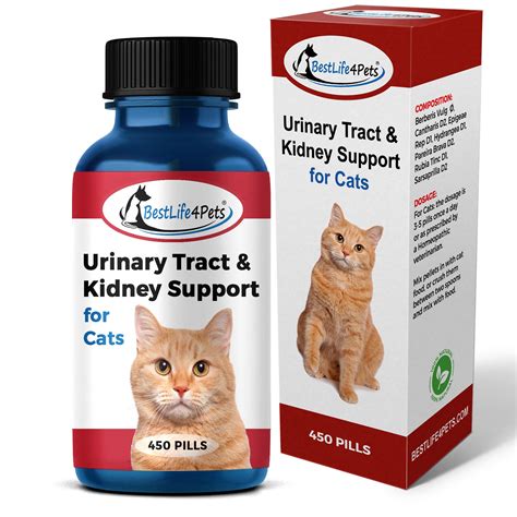 Cat Uti Treatment 80 Best Of Holistic Treatment Cat Urinary Tract