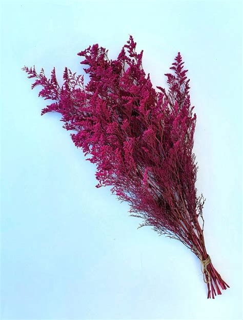 Preserved Caspia Dried Flower Arrangement Hot Pink Dried Etsy