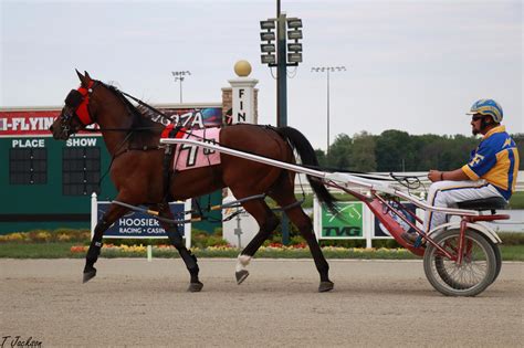 Pin By Vanessa On Harness Racing Harness Racing Standardbred Horse