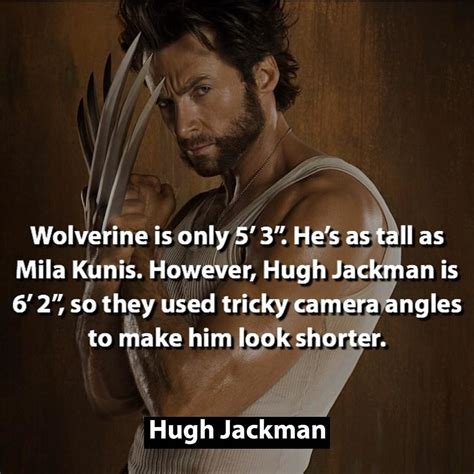 Marvel Comic Movies Marvel Facts Superhero Facts Wolverine