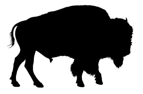 Download Bison Silhouette Buffalo Royalty Free Stock Illustration