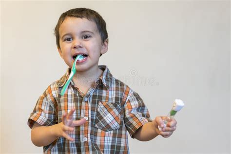 Little Boy Brushing Teeth Stock Photo Image Of Health 10419270