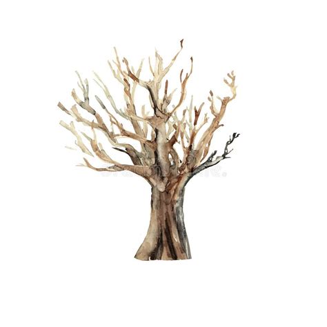 Watercolor Hand Drawn Artistic Tree Trunk Hand Drawn Vintage Isolated On White Background Stock