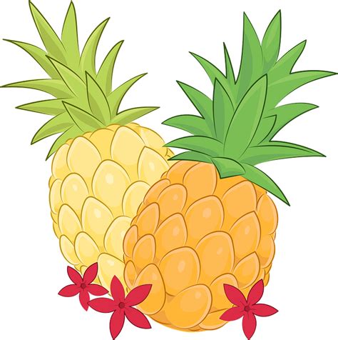 Pineapple Clipart Free Download Transparent Png Creazilla