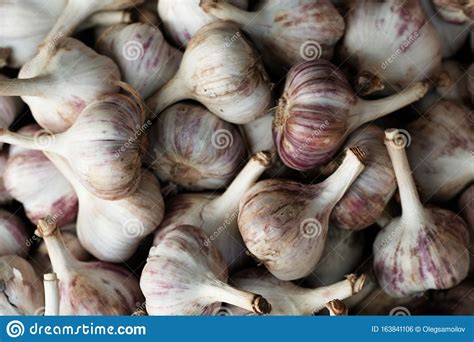Garlic Bulbs At A Farmers Market Stock Photo Image Of Freshness