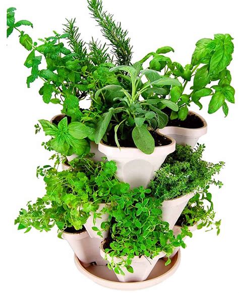 Top Rated Indoor Vegetableherb Growers