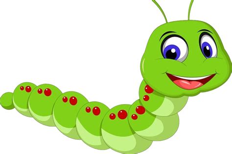 Caterpillar Png Transparent Image Download Size 910x606px