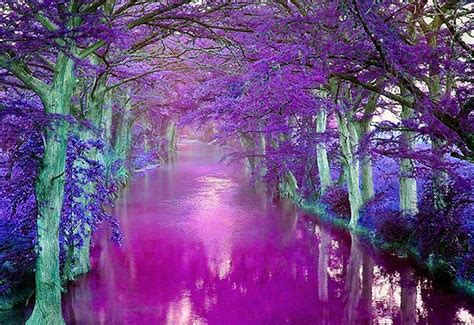 Lune River Valley Lancaster Uk Purple Wallpaper Beautiful Nature