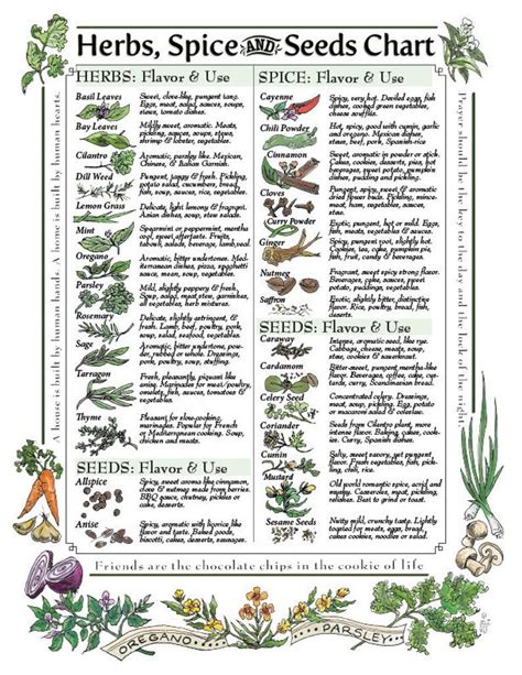 Herb And Spice Chart